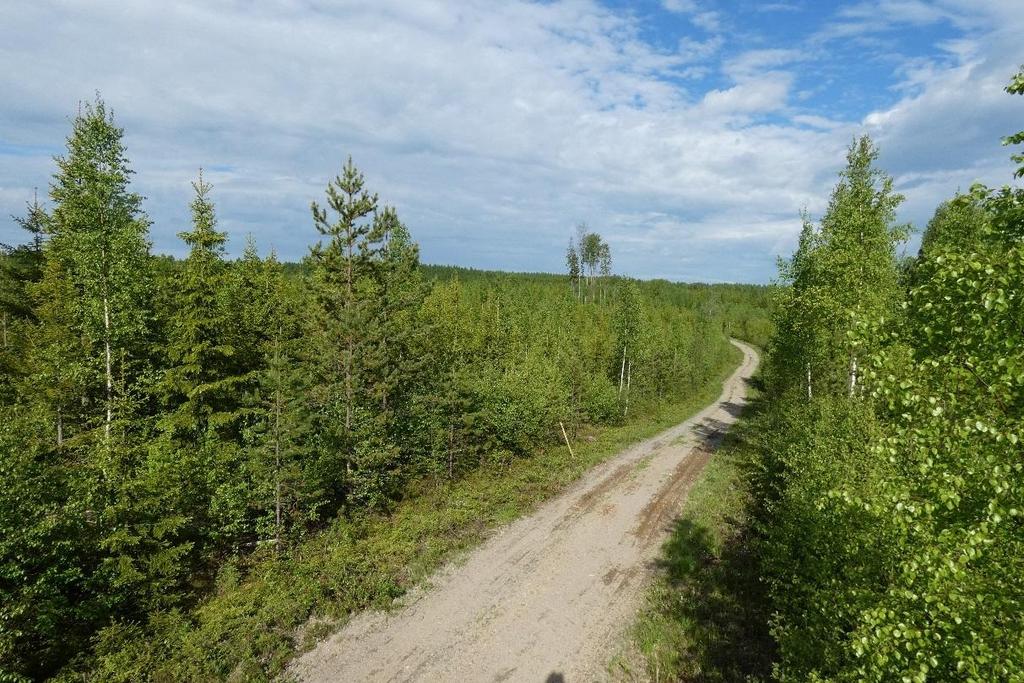 Kuva 57. Hankealueen metsät ovat talousmetsiä, joista merkittävä osa on taimikkoa tai nuorta kasvatusmetsää (Sweco Ympäristö Oy, 2017).
