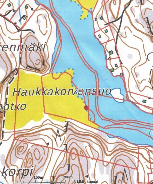 13 8 Yleistä viitasammakosta Viitasammakkoa tavataan Suomessa Metsä-Lappiin asti. Viitasammakko on paikkauskollinen ja elää kutuvetensä läheisyydessä.