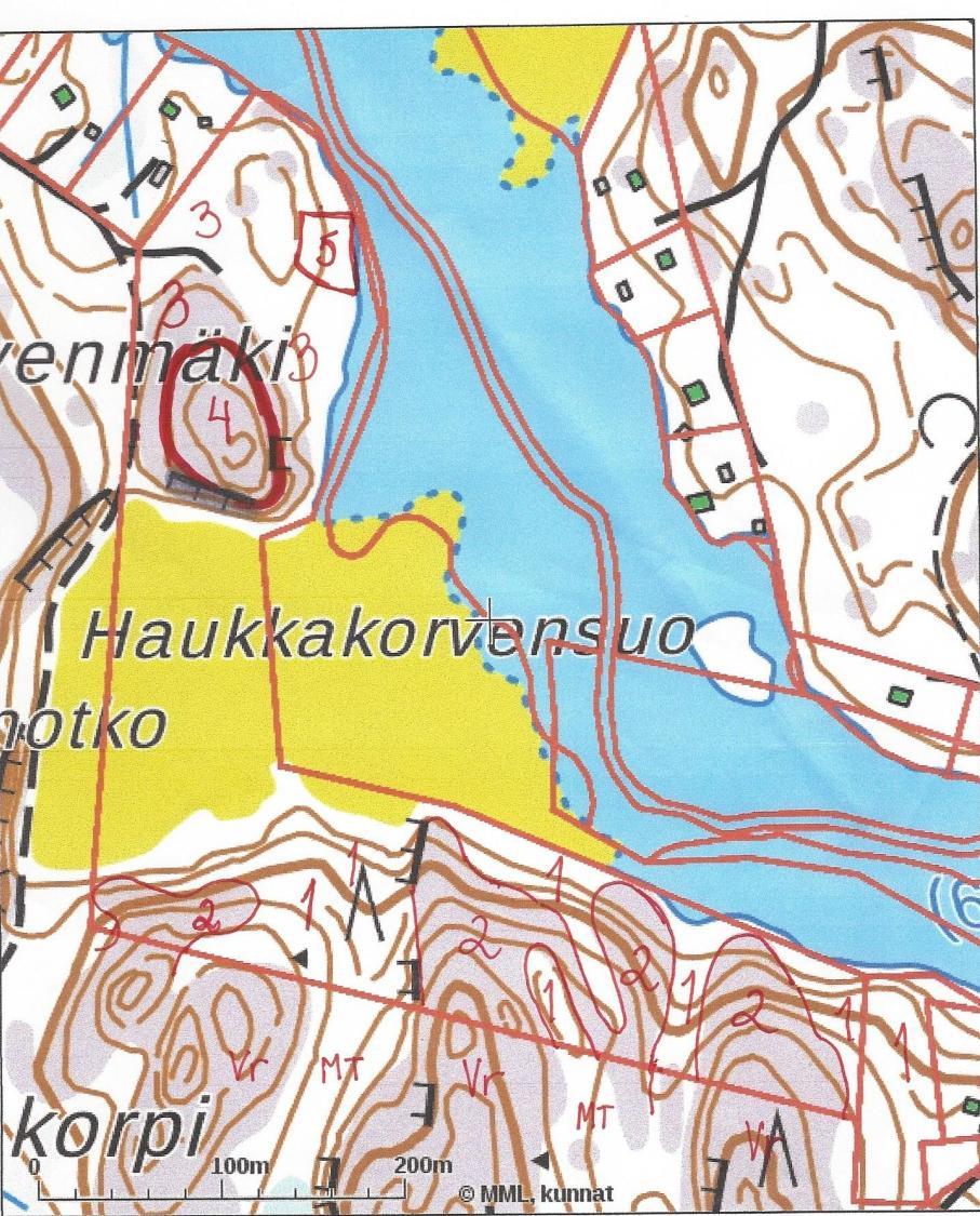 7 Kartta 1: Haukkakorvenmäen luontotyypit Numero 1 ja 3 ovat mustikkatyypin tuoretta kangasta, numero 2 ja 4 ovat kalliometsää ja numero 5 on lehtomaista kangasta.