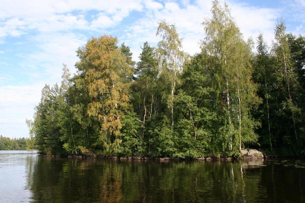 Rannassa on omakotitalotontteja. Kuva vuodelta 2012.