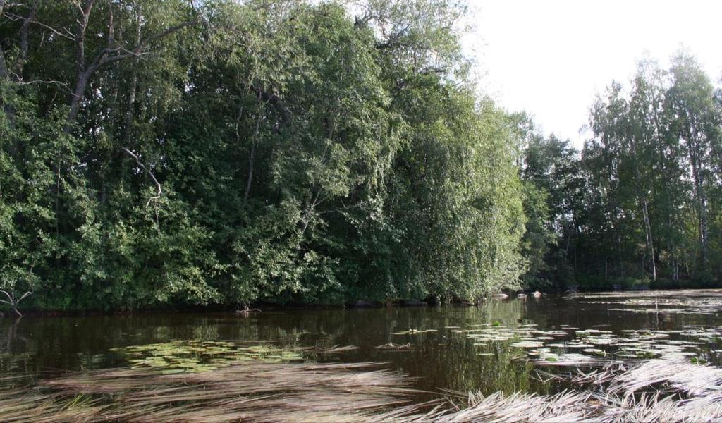Etualalla niemi, jossa Sandbergin huvila on sijainnut ja jonka rantaviiva on
