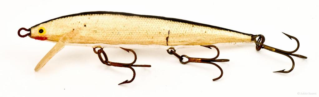 37 Rapala