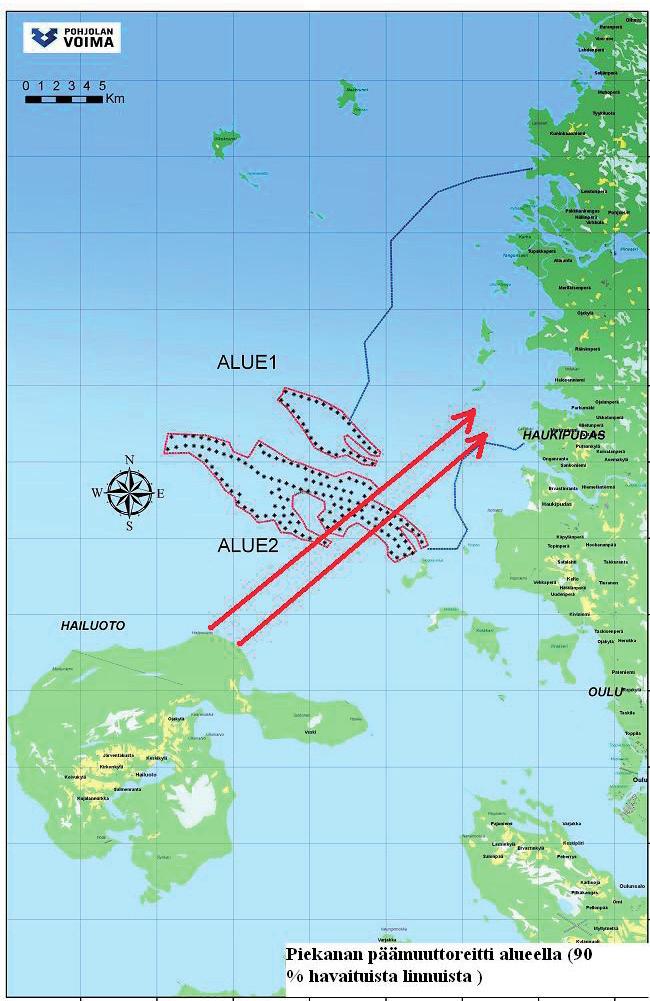 Petolinnut Maa ja merikotka Maakotkien perinteinen muuttoreitti kulkee Hailuodon länsipuolitse suoraviivaisesti kohti pohjoista. Laji ei tavallisesti muuta suunnitellun tuulivoimalapuiston poikki.