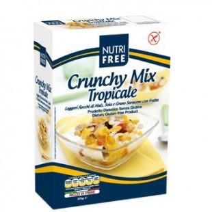 NUTRIFREE, TROOPPISET HEDELMÄT MYSLI Light and delicious flakes of corn, soy and buckwheat expertly mixed with the sweetness of raisins, banana, pineapple, coconut and papaya for a mix rich in fibre,