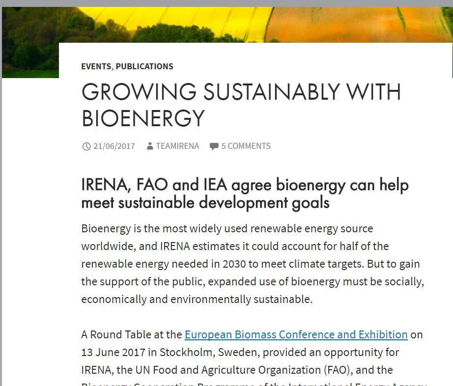 Bioenergia ja kestävä