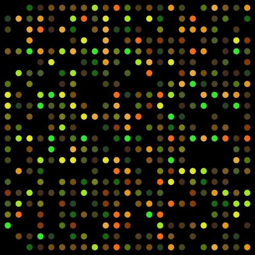 Mihin totaali- RNA:ta käytetään? RNA-siru-tekniikoilla voidaan esimerkiksi tutkia satojen eri geenien ilmentymistä eri kudoksissa.