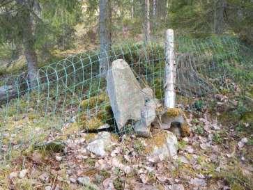 Kuva 18. Nuori, yhä käytössä olevalla rajalla sijaitseva tilanrajamerkki kuvattuna lounaasta.