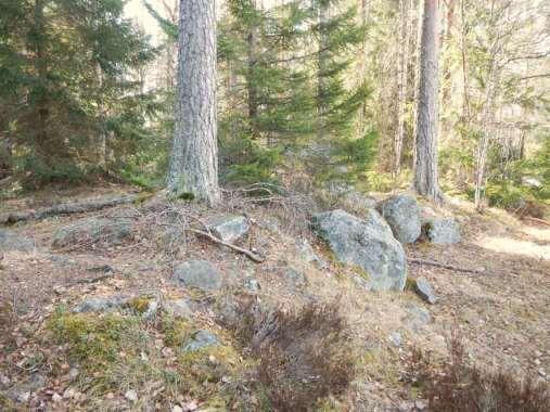 Kuva 3. Saunarakennus ja hiekkarantaa suunnitelluista loma-asuntotonteista pohjoisimmalla. Kuvattu pohjoisesta.