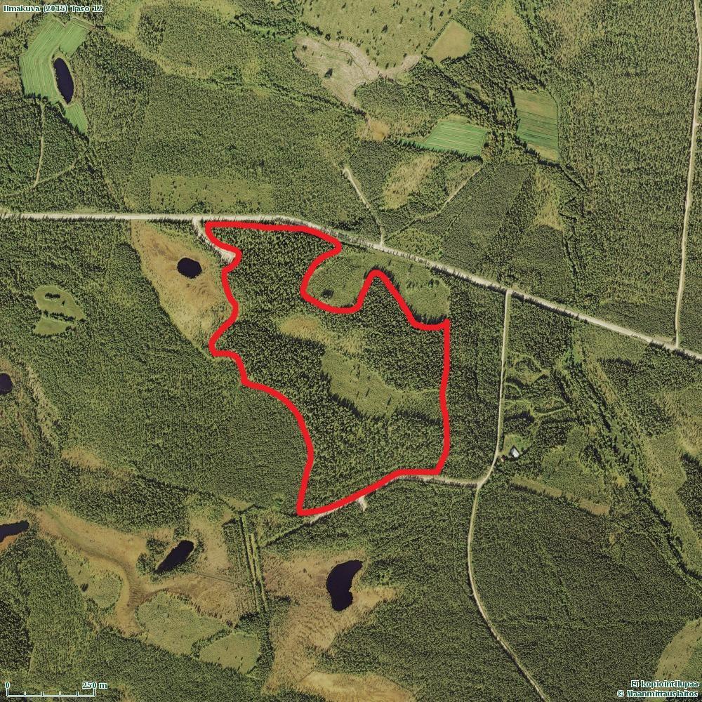 Palovaara 722605:592966, rajaus sisältää