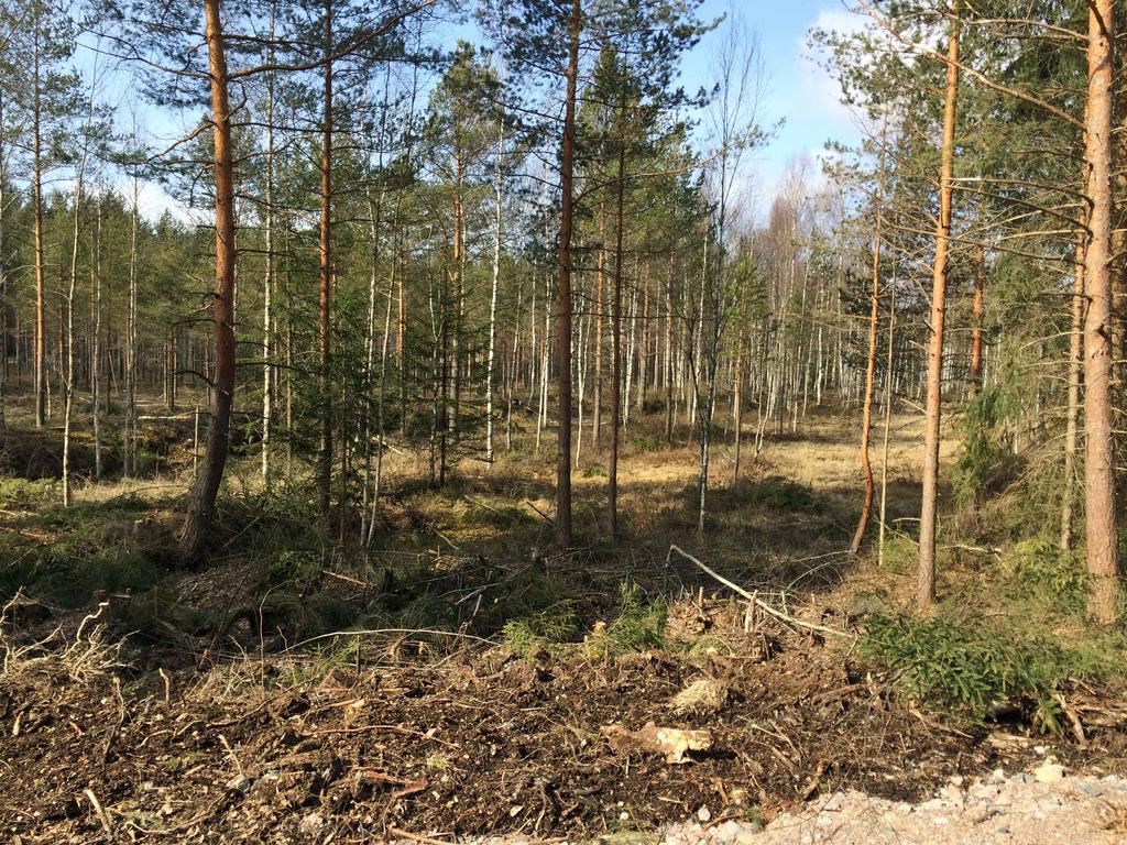 H. G. Paloheimo Oy Ympäristövaikutusten arviointiohjelma Jussilansuon maa-ainesten