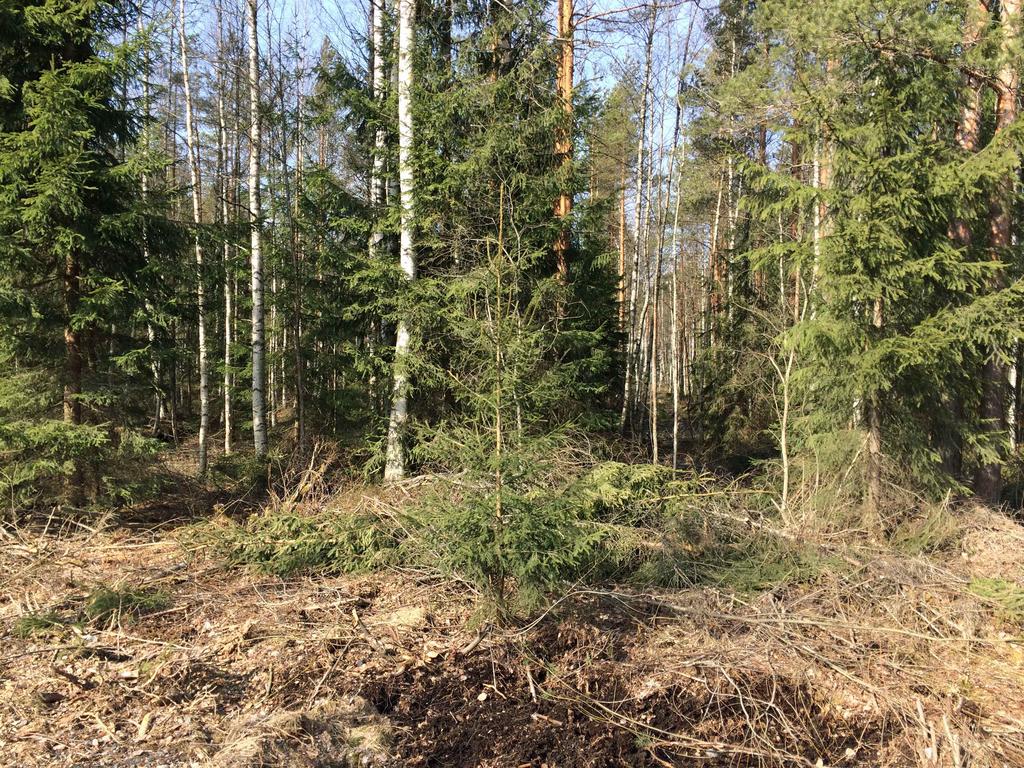 H. G. Paloheimo Oy Ympäristövaikutusten arviointiohjelma Jussilansuon maa-ainesten käsittelykeskus, Riihimäki 13 (40) Työ 32917 Kuva 4.