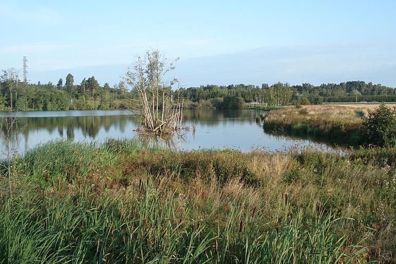 Järvien ravinteisuus: Eutrofiset järvet Korkea ravinnepitoisuus kokonaisfosfori >25μg/l Korkea perustuotanto ja biomassa, alhainen näkösyvyys Yleensä matalia Alusveden