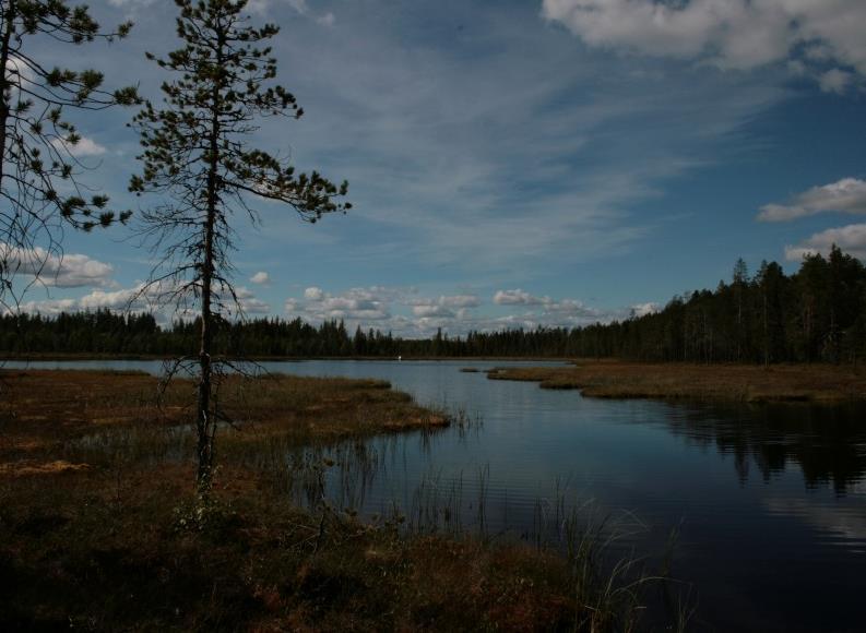 Seisovan veden ekosysteemit: Järvet ja lammet Järven ja lammen välillä ei