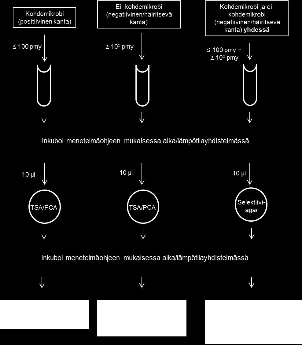 esitetyissä esimerkeissä testauskaaviota yksinkertaistettu