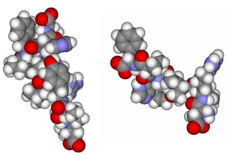 21 22 Reniini-angiotensiini-aldosteronijärjestelmä ACE Beetasalpaajat Tiatsidit Amiloridi, triamtereeni Angiotensiini II (AT II) Asp - Arg - Val - Tyr - Ile -
