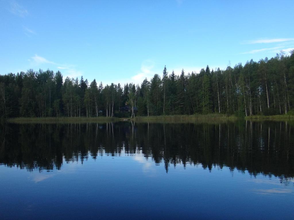 2 / 3 Kuva 2. Tyyni Kärjenlammi 3.8.2016. Kuva: Arto Muttilainen. Järven tilan arvioinnissa keskeisimmät tekijät ovat yleensä happitilanne ja rehevyyttä määrittelevä ravinnetaso.