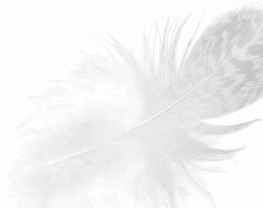 Tämän jutun tarkoitus on kertoa koirastamme ESN Jekuttajan Puolikuusta, (kaverien kesken Tatsi). Ensin haluamme kertoa hieman taustoja Tatsin tulosta perheeseemme.