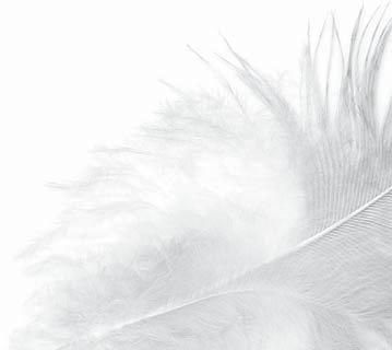 kaikki kävivät tässä välissä nopeasti polttonestetäydennyksellä apsin alueella. Ruokailun jälkeen pidettiin kritiikki ja palkintojen jako.