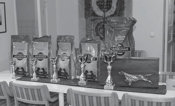 Virallisten osuuksien jälkeen siirryttiin saunaan, siellä vasta alkoikin hahmottumaan se koirien todellinen paremmuusjärjestys!
