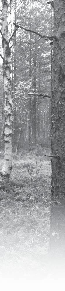 Olemmekin jaoksessa jo harkinneetkin sääntöjen uudistamista ensi vuotta ajatellen, mikäli tämä hieno kisa saadaan uudelleen järjestettyä, jotta osallistumiskynnys saataisiin pidettyä alhaalla ja