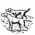 fi Yhteistyössä OnnenQn kennel ja koirakoulu, Kuusamo. Tarjolla koulutusta kyyhkysillä.