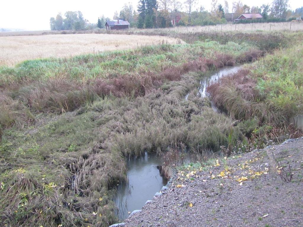 Valokuvia