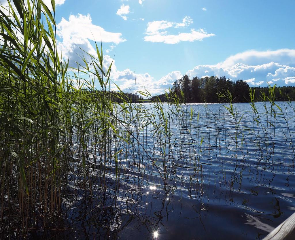 jä. Toisin sanoen meidät lellitään pilalle. Matka jatkui Kouvolaan ja Tykkimäelle. Pitäähän kerran kesässä päästä huvipuistoon. Tykkimäen leirintäalue alkaa olla hieman aikansa elänyt.