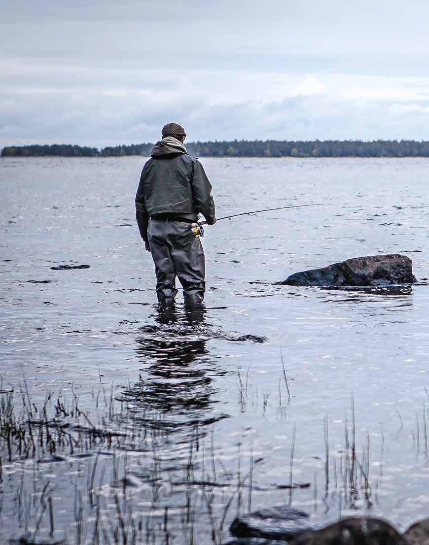 Teksti: Miki Äikäs n