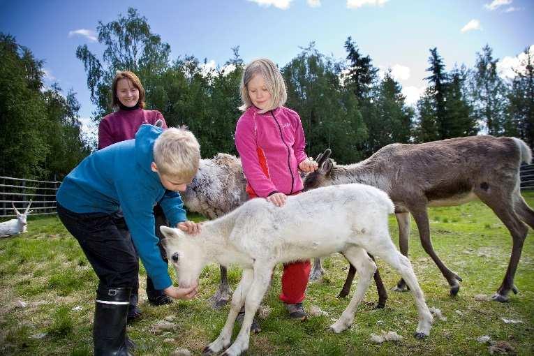 Kaupunkialueet sekä suurimmat tunturikohteet ovat kasvaneet.