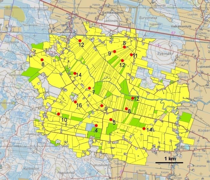 Peltopyyt Kauhajoen Kainastolla: 18.