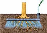 3. Kastelu/Ilmastus Kastelu/Ilmastus Hyvä hapen tarjonta, vesi ja ravinteet on edellytys juurien hyvälle kasvulle ja terveille puille TEHOKKAAN KASTELUN/ HAPENSAANNIN PERIAATTEET.