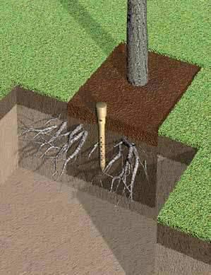 3. Kastelu/Ilmastus Tuotetiedot RootStake TM -kastelukeihäs RootStake TM on helppo ja innovatiivinen tapa hoitaa vastikään istutettujen puiden juurien kastelu ja ilmastus, mutta voidaan myös käyttää
