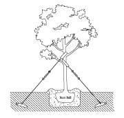 4. Juurien kiinnitys/puun sidonta Tuotetiedot DuckBill DTS sitomiseen maanpinnan yläpuolella DuckBill System DTS on kehitetty sitomaan ylös isompia puita, runkohalkaisijalta