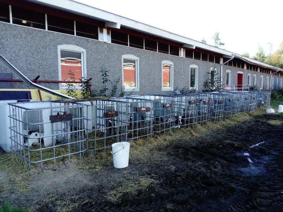 12 ne on sijoitettu katoksen alle tai rakennettu kylmähalli, jolloin hoitajalla on mukavammat työolosuhteet ja työtoimet hoituvat jouhevammin. (Ellä ym. 2012, 27).