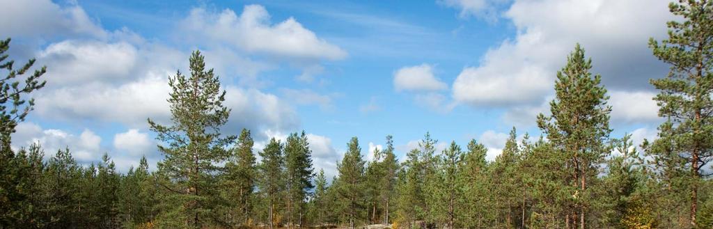FCG Finnish Consulting Group Oy