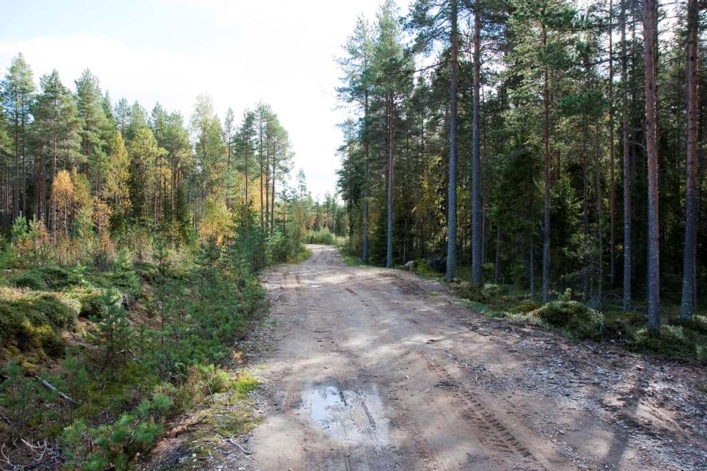 FCG Finnish Consulting Group Oy Mustilankankaan tuulivoimapuiston YVA-ohjelma 9 3.3 Tuulivoimalaitosten perustukset 3.3.1 Maavarainen teräsbetoniperustus 3.3.2 Teräsbetoniperustus massanvaihdolla Kuva 5.
