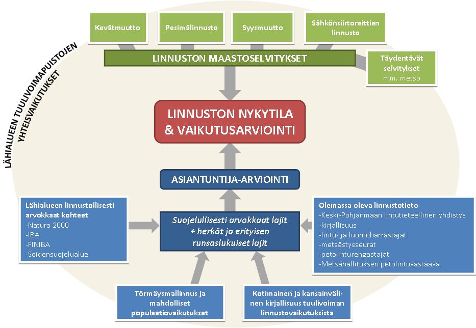 FCG Finnish Consulting Group Oy Mustilankankaan tuulivoimapuiston YVA-ohjelma 43 