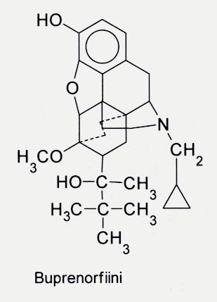 Buprenorfiini n käytetään sublinguaalisesti, parenteraalisesti tai transdermaalisesti n korkea affiniteetti opioidireseptoreihin, osittaisagonisti µ-res., antag. k-res., agonisti NOP-res.