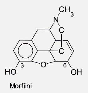 Morfiini n eristetty oopiumista n µ-opioidireseptorien agonisti, vaikutuksissa yksilöllistä vaihtelua n hyötyosuus n. 15-60% p.o., subkutaanisesti imeytyy paremmin; aivoihin pääsee vain pieni osa
