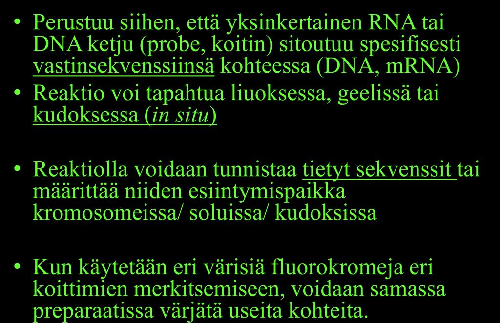 Hybridisaatio, erityisesti in situ hybridisaatio Perustuu siihen, että yksinkertainen RNA tai DNA ketju (probe, koitin)