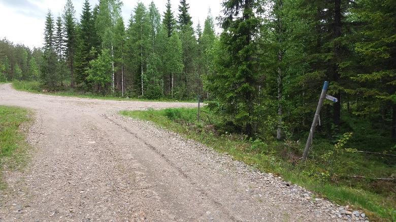 Tullaan neljän tien risteykseen, jossa on UKK-reitin viittoja peräti kaksin kappalein.