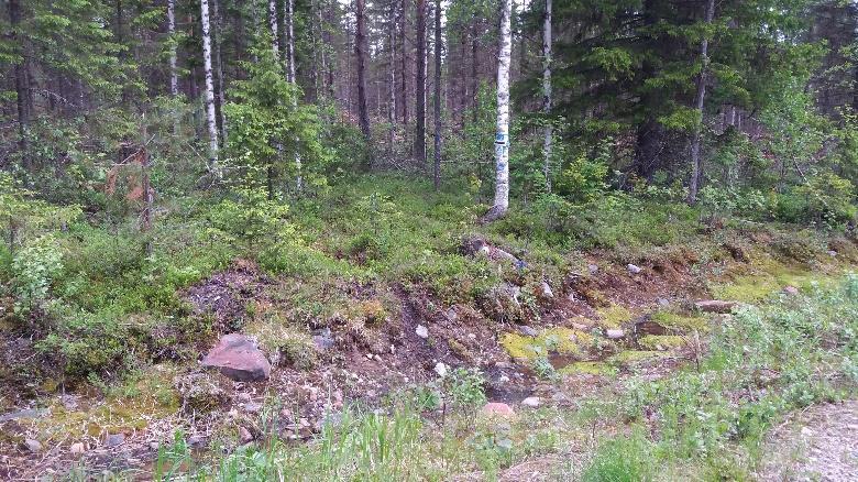 viitoilta metsään vasemmalle.