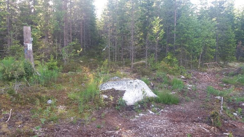 keskimääräistä tuoreempi UKK-viitta.