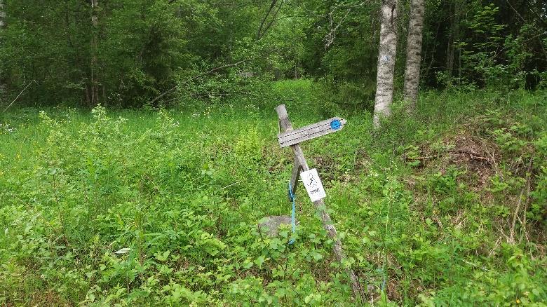 Postilaatikon pylväässä on sininen kärki ja tien toisella puolen polkujuoksun