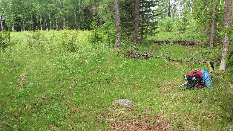 Reitti poikkeaa metsään huonossa kunnossa olevan UKKviitan kohdalla,