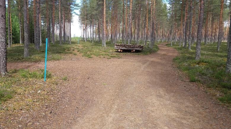 Punaisten parakkien kohdalla reitti ei jatka sinisten muovikeppien linjaa vaan jatkaa