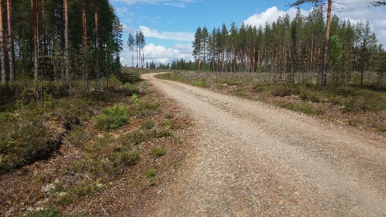 Metsäautotielle tultaessa sama ura jatkuisi suoraan, mutta reitti kääntyy tietä pitkin