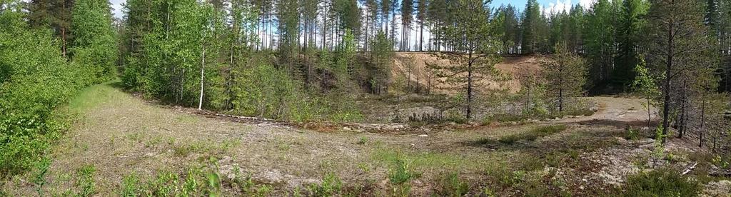 oikeanpuoleisesta haarasta.