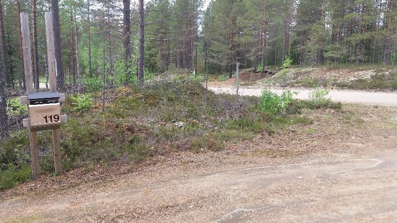 Suuntana alhaalla selvä aukko metsässä.