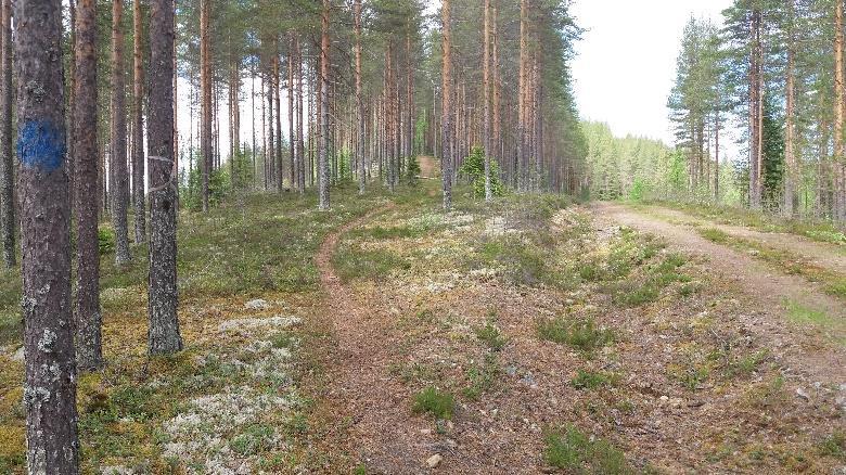 ennen kuin poikkeaa hyvin